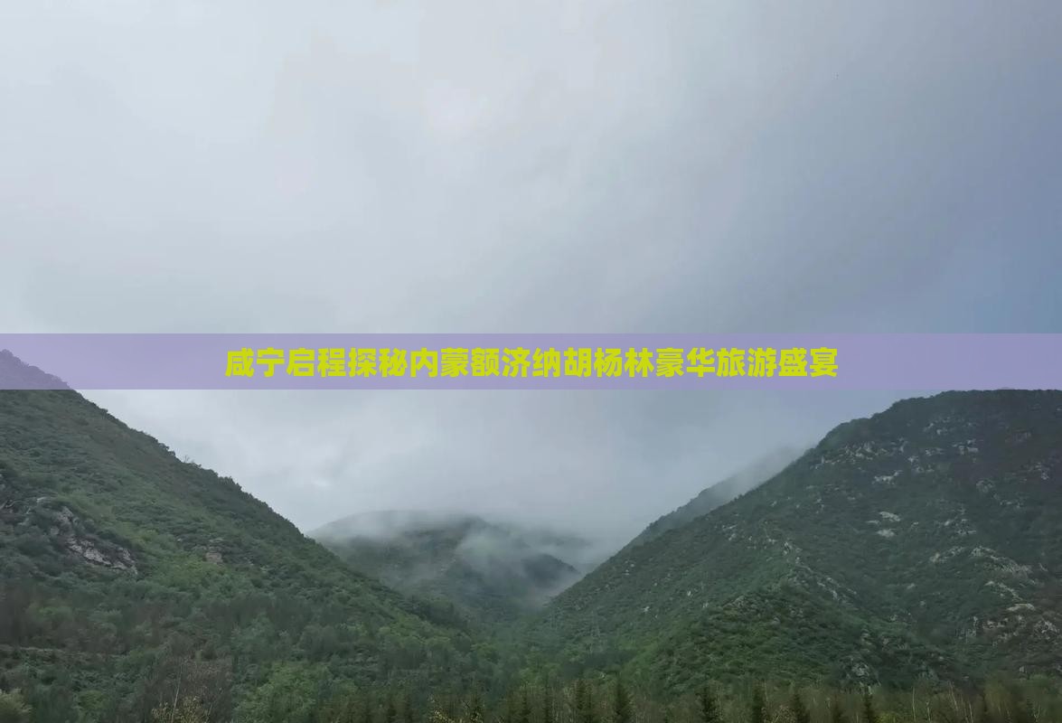 咸宁启程探秘内蒙额济纳胡杨林豪华旅游盛宴