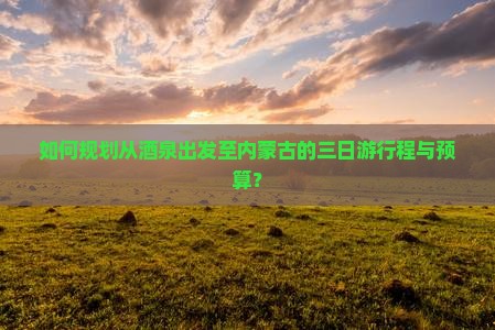 如何规划从酒泉出发至内蒙古的三日游行程与预算？