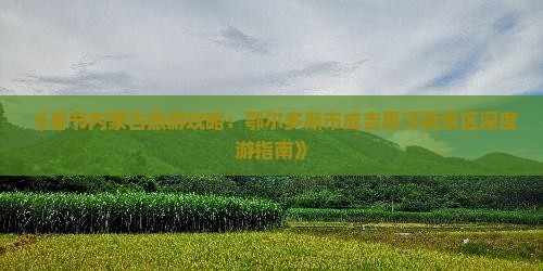 《春节内蒙古旅游攻略：鄂尔多斯市成吉思汗陵景区深度游指南》