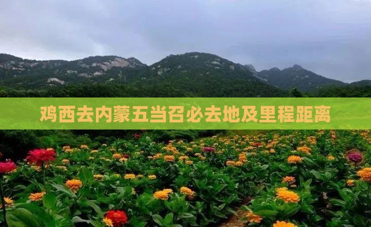 鸡西去内蒙五当召必去地及里程距离