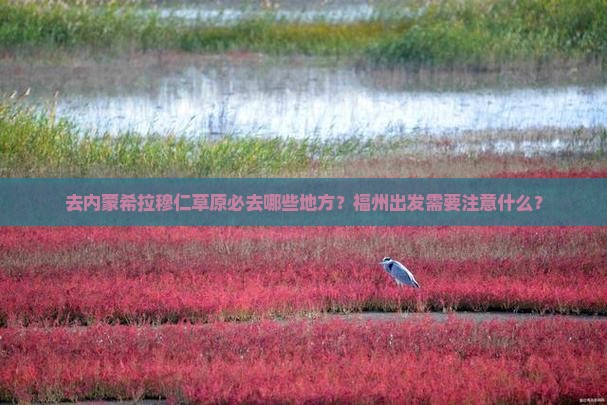 去内蒙希拉穆仁草原必去哪些地方？福州出发需要注意什么？