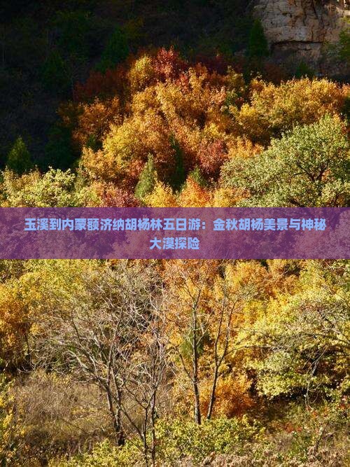 玉溪到内蒙额济纳胡杨林五日游：金秋胡杨美景与神秘大漠探险