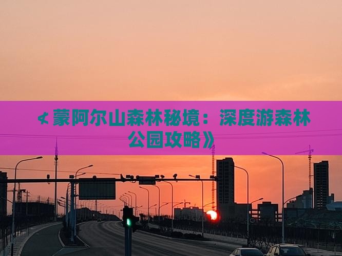 ≮蒙阿尔山森林秘境：深度游森林公园攻略》
