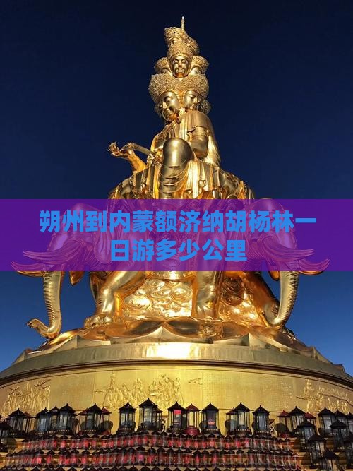 朔州到内蒙额济纳胡杨林一日游多少公里