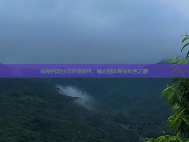探秘内蒙额济纳胡杨林，临夏团队专属秋色之旅