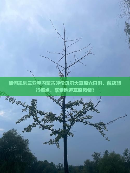如何规划三亚至内蒙古呼伦贝尔大草原六日游，解决旅行痛点，享受地道草原风情？