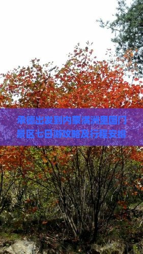 承德出发到内蒙满洲里国门景区七日游攻略及行程安排是怎样的？