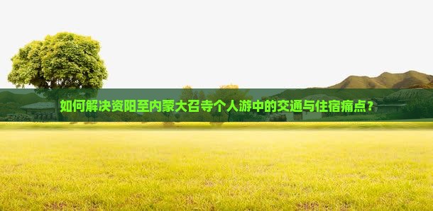 如何解决资阳至内蒙大召寺个人游中的交通与住宿痛点？