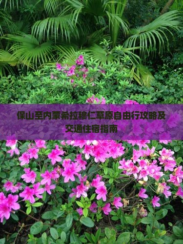 保山至内蒙希拉穆仁草原自由行攻略及交通住宿指南