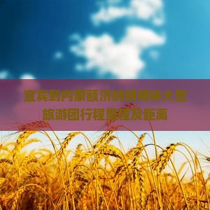 宜宾到内蒙额济纳胡杨林大型旅游团行程里程及距离