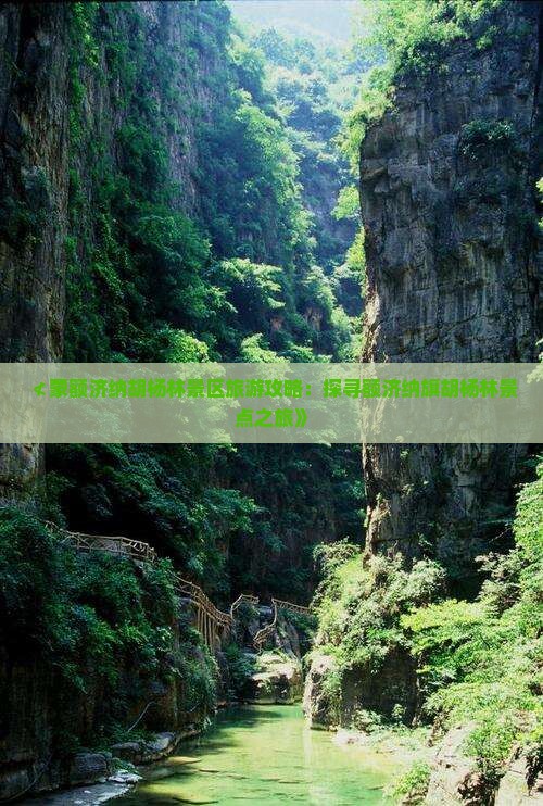 ≮蒙额济纳胡杨林景区旅游攻略：探寻额济纳旗胡杨林景点之旅》