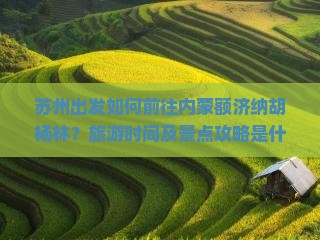 苏州出发如何前往内蒙额济纳胡杨林？旅游时间及景点攻略是什么？