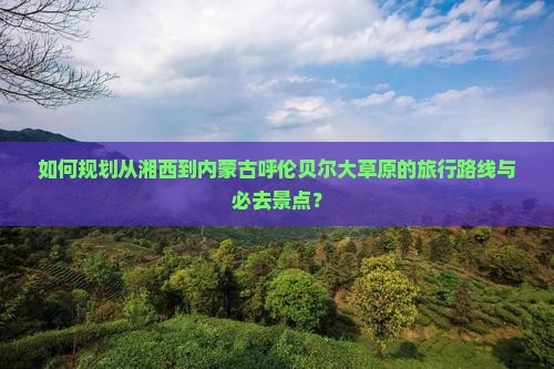 如何规划从湘西到内蒙古呼伦贝尔大草原的旅行路线与必去景点？