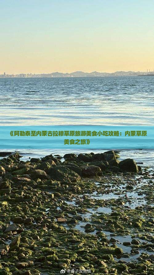 《阿勒泰至内蒙古拉穆草原旅游美食小吃攻略：内蒙草原美食之旅》