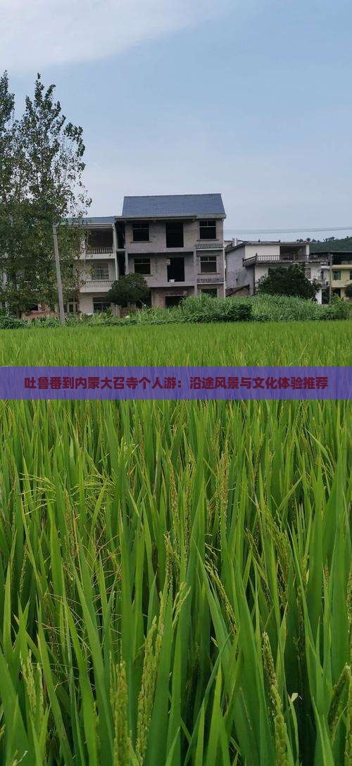 吐鲁番到内蒙大召寺个人游：沿途风景与文化体验推荐