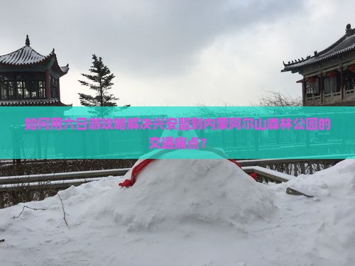 如何用六日游攻略解决兴安盟到内蒙阿尔山森林公园的交通痛点？