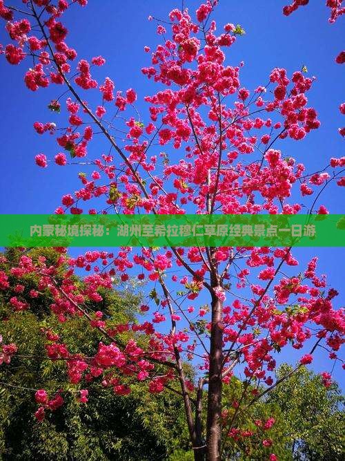 内蒙秘境探秘：湖州至希拉穆仁草原经典景点一日游