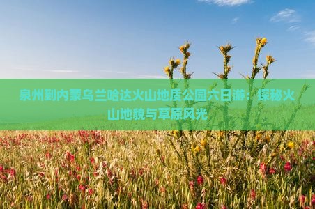 泉州到内蒙乌兰哈达火山地质公园六日游：探秘火山地貌与草原风光