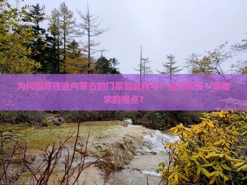 为何固原往返内蒙古的门票如此抢手？如何解决一票难求的痛点？