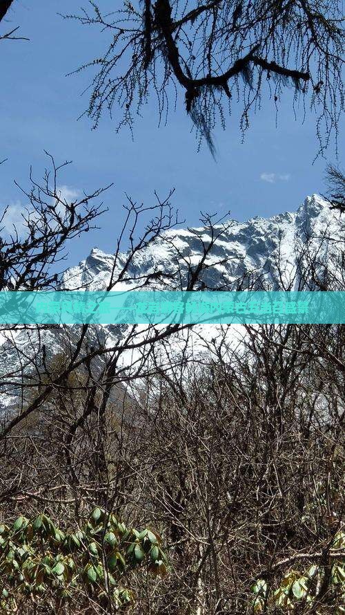 内蒙风情之旅——龙岩游客畅游内蒙古五当召盛景