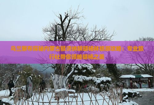 乌兰察布探秘内蒙古额济纳旗胡杨林旅游攻略：专业旅行社带你领略胡杨之美