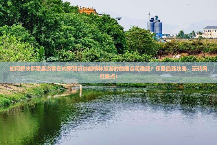 如何解决鄢陵县游客在内蒙额济纳胡杨林旅游时的痛点和难题？探索最新攻略，玩转网红景点！