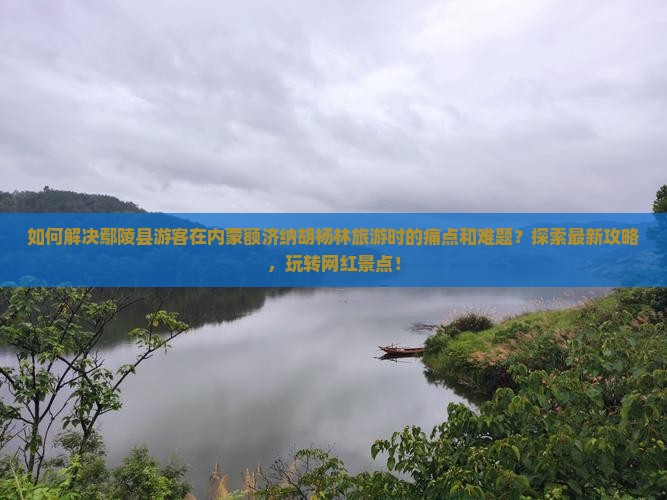 如何解决鄢陵县游客在内蒙额济纳胡杨林旅游时的痛点和难题？探索最新攻略，玩转网红景点！