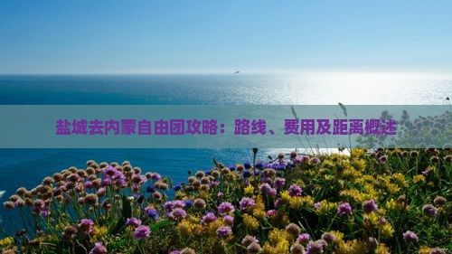 盐城去内蒙自由团攻略：路线、费用及距离概述
