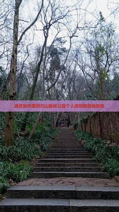 迪庆到内蒙阿尔山森林公园个人游攻略路线指南