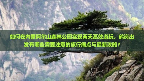 如何在内蒙阿尔山森林公园实现两天高效游玩，鹤岗出发有哪些需要注意的旅行痛点与最新攻略？