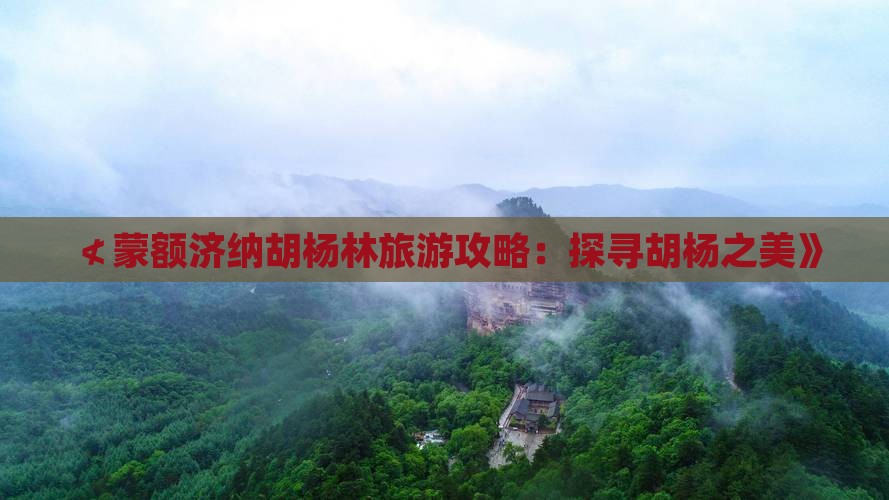 ≮蒙额济纳胡杨林旅游攻略：探寻胡杨之美》