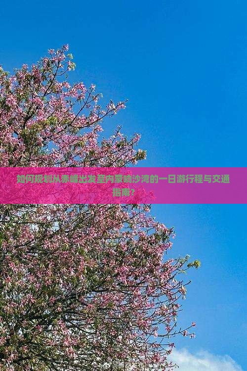 如何规划从赤峰出发至内蒙响沙湾的一日游行程与交通指南？