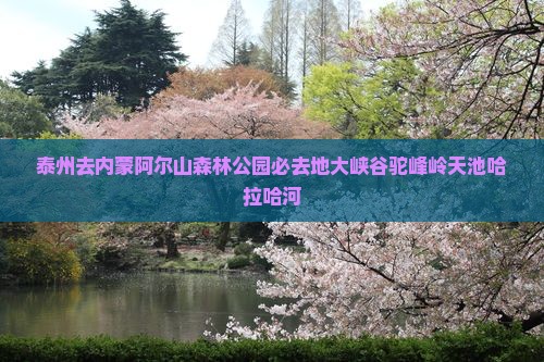 泰州去内蒙阿尔山森林公园必去地大峡谷驼峰岭天池哈拉哈河