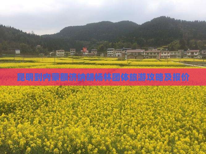 昆明到内蒙额济纳胡杨林团体旅游攻略及报价