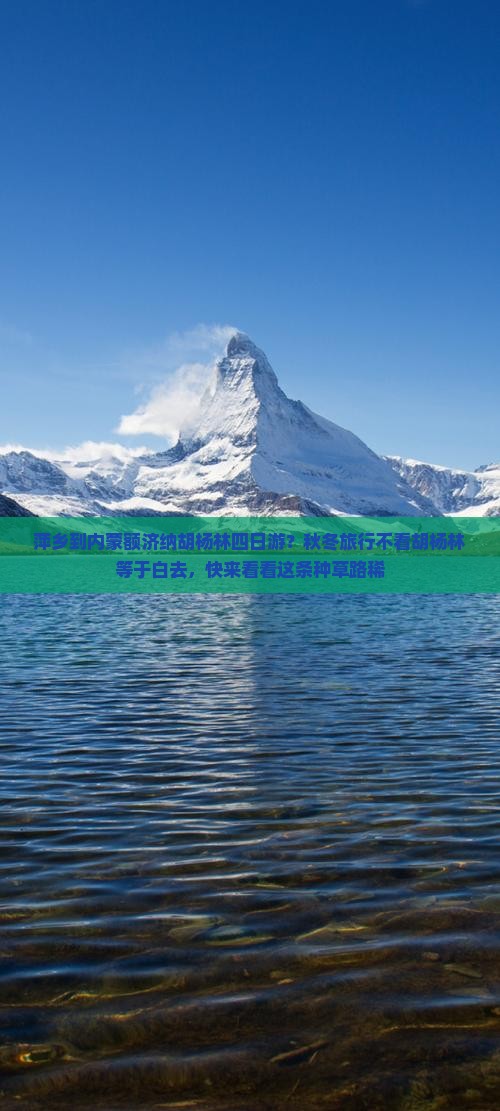 萍乡到内蒙额济纳胡杨林四日游？秋冬旅行不看胡杨林等于白去，快来看看这条种草路稀