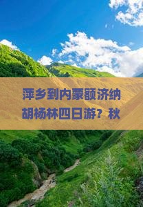 萍乡到内蒙额济纳胡杨林四日游？秋冬旅行不看胡杨林等于白去，快来看看这条种草路稀