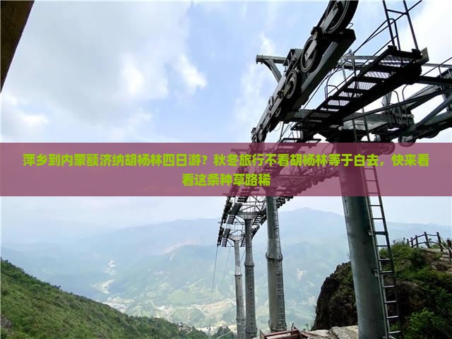 萍乡到内蒙额济纳胡杨林四日游？秋冬旅行不看胡杨林等于白去，快来看看这条种草路稀