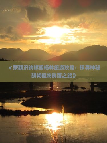 ≮蒙额济纳旗胡杨林旅游攻略：探寻神秘胡杨植物群落之旅》
