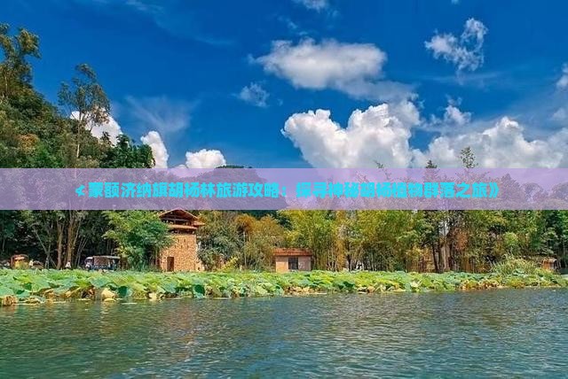 ≮蒙额济纳旗胡杨林旅游攻略：探寻神秘胡杨植物群落之旅》