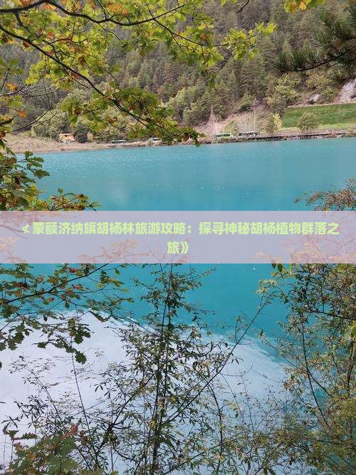 ≮蒙额济纳旗胡杨林旅游攻略：探寻神秘胡杨植物群落之旅》