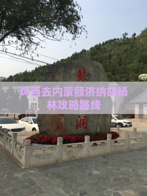 鸡西去内蒙额济纳胡杨林攻略路线