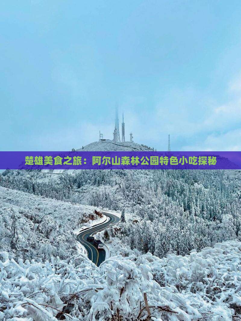楚雄美食之旅：阿尔山森林公园特色小吃探秘