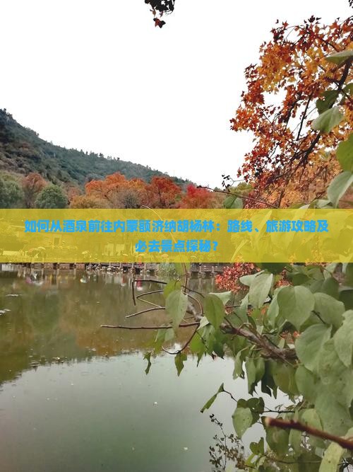 如何从酒泉前往内蒙额济纳胡杨林：路线、旅游攻略及必去景点探秘？