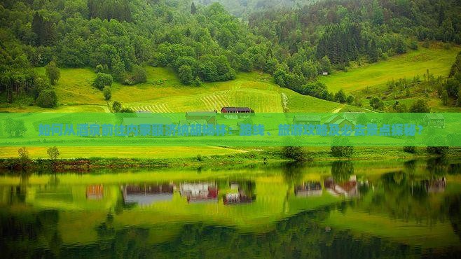 如何从酒泉前往内蒙额济纳胡杨林：路线、旅游攻略及必去景点探秘？