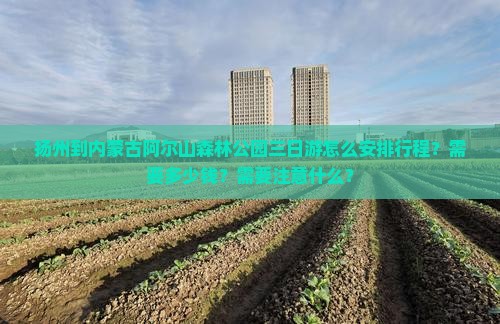 扬州到内蒙古阿尔山森林公园三日游怎么安排行程?需要多少钱?需要注意什么? 扬州到内蒙古阿尔山森林公园三日游怎么安排行程?需要多少钱?需要注意什么?