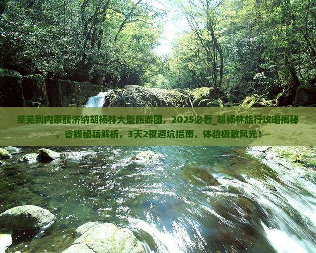 莱芜到内蒙额济纳胡杨林大型旅游团