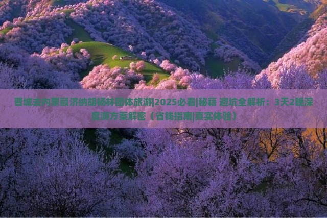晋城去内蒙额济纳胡杨林团体旅游