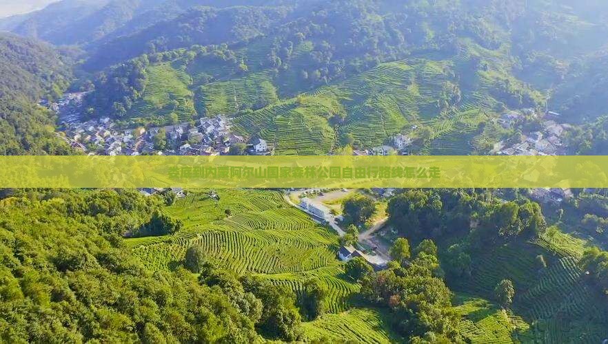 娄底到内蒙阿尔山国家森林公园自由行