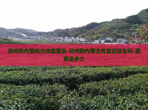 贺州到内蒙响沙湾哪里玩