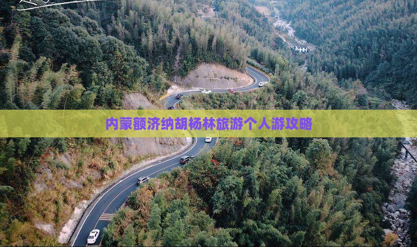 鞍山去内蒙额济纳胡杨林个人游